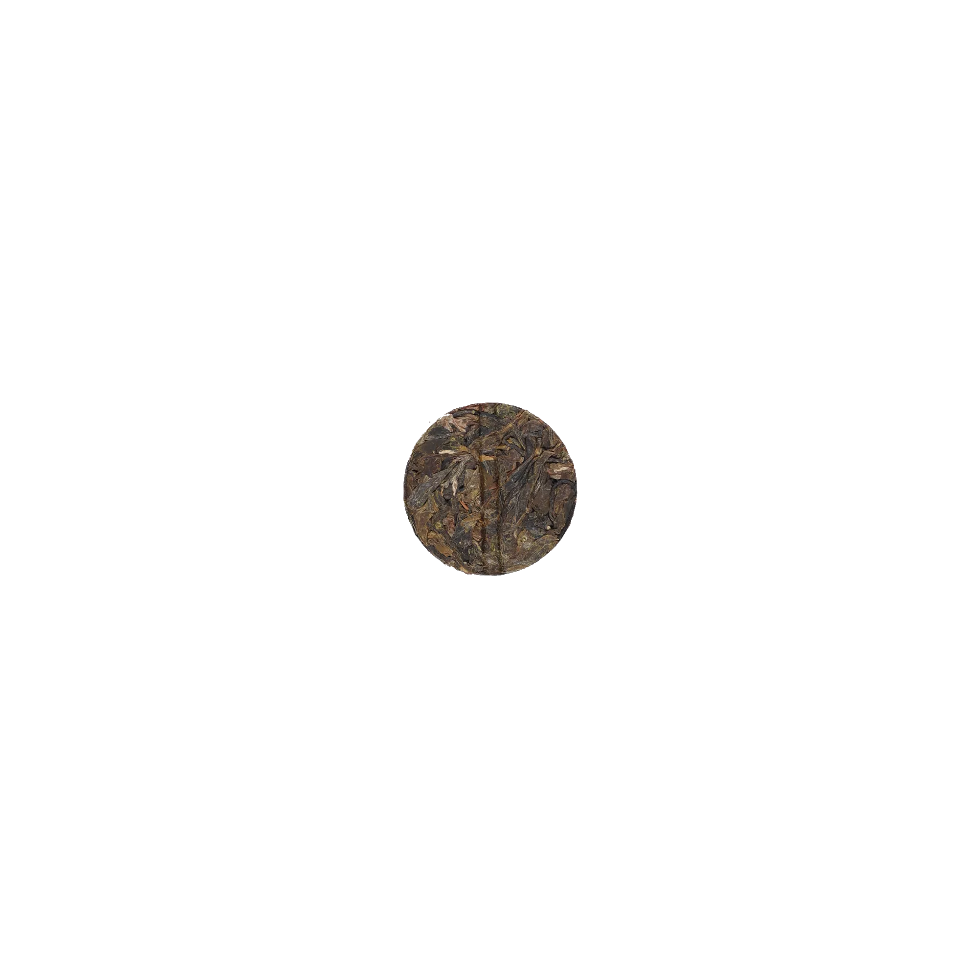 启顺古树普洱生茶